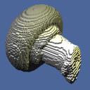 Mushroom (side length: 105 voxels). Volume courtesy of ..