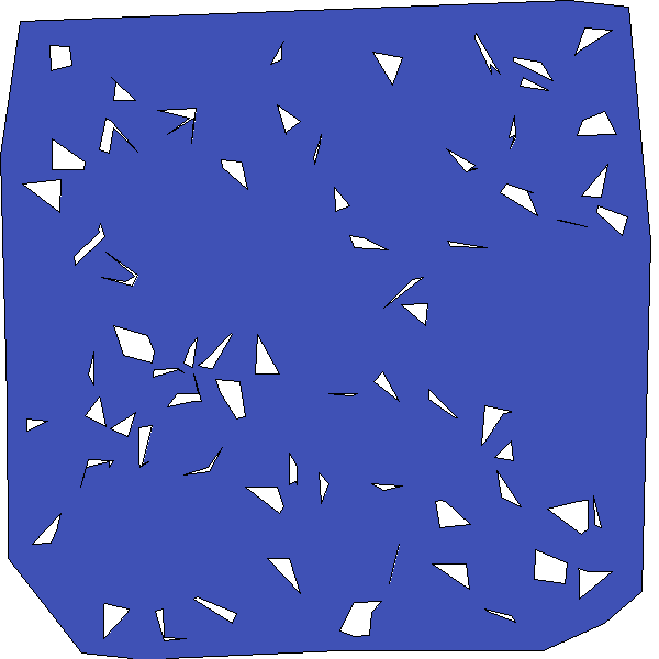 Polygon image