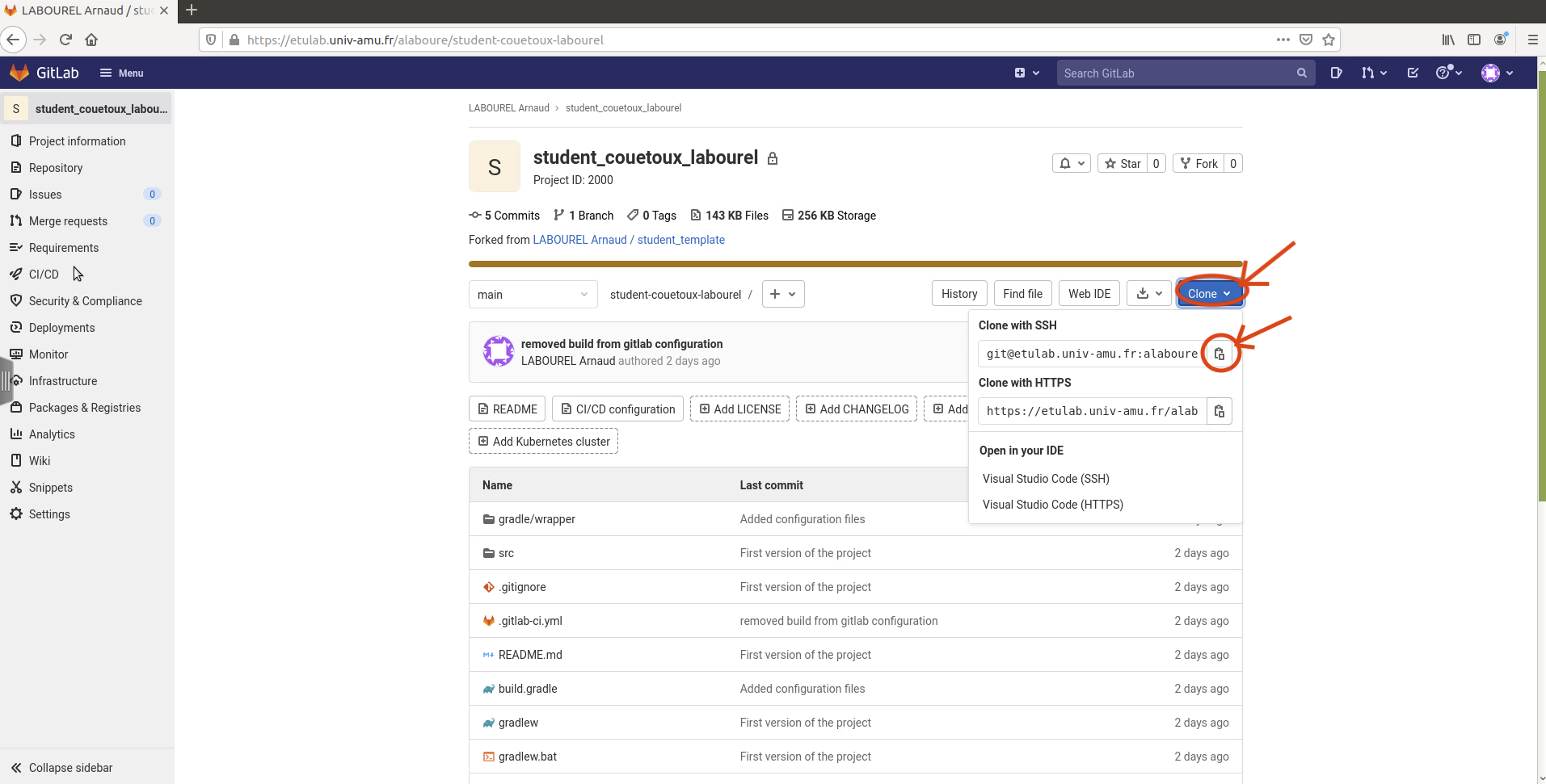 plugin customize
