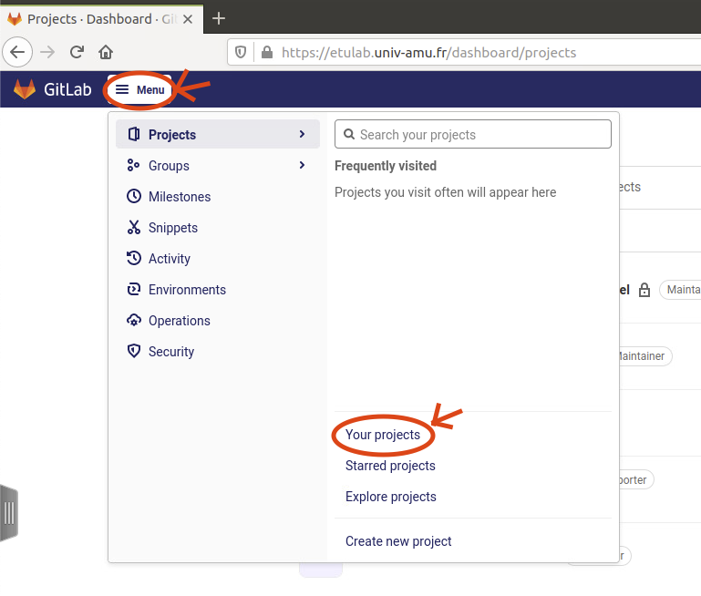 plugin customize