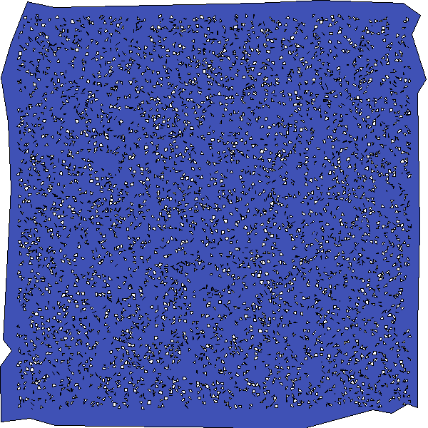 Polygon image