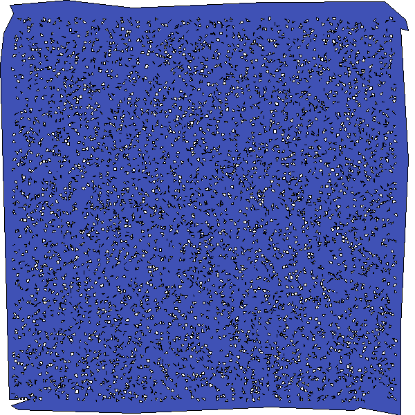 Polygon image