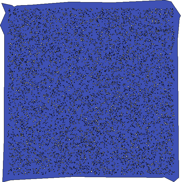 Polygon image