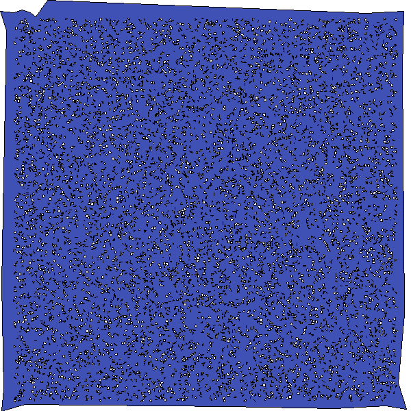 Polygon image