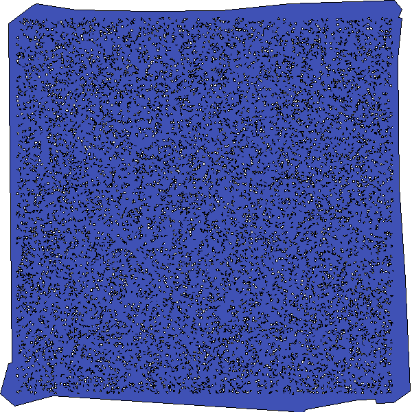 Polygon image