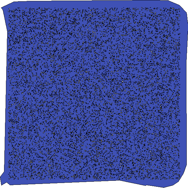 Polygon image