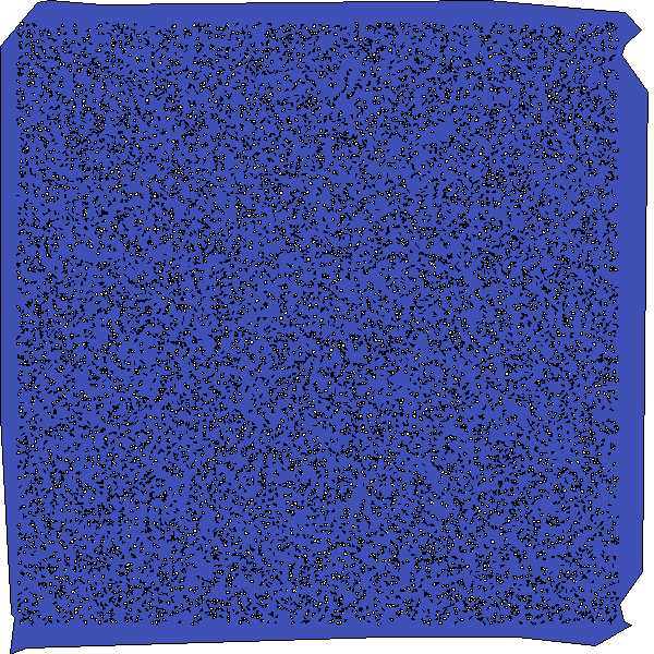 Polygon image
