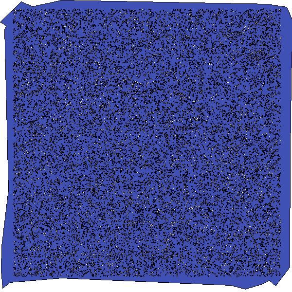 Polygon image