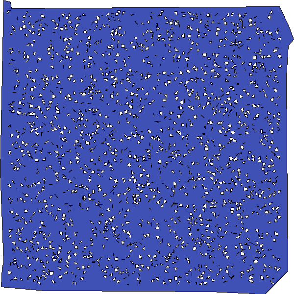 Polygon image