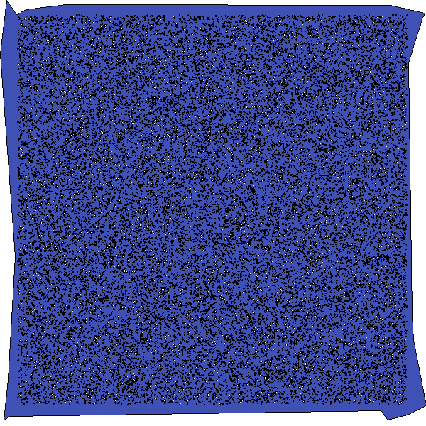 Polygon image