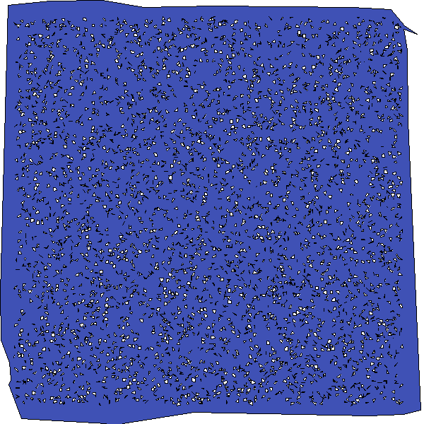 Polygon image