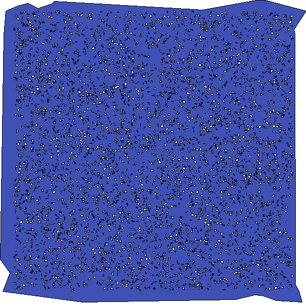 Polygon image
