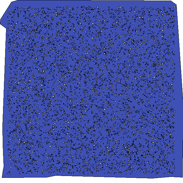 Polygon image
