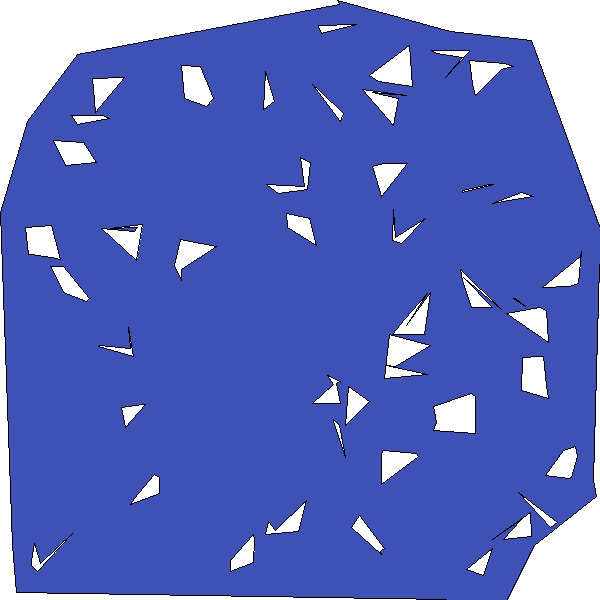 Polygon image