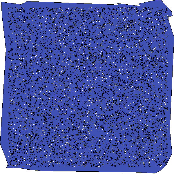 Polygon image