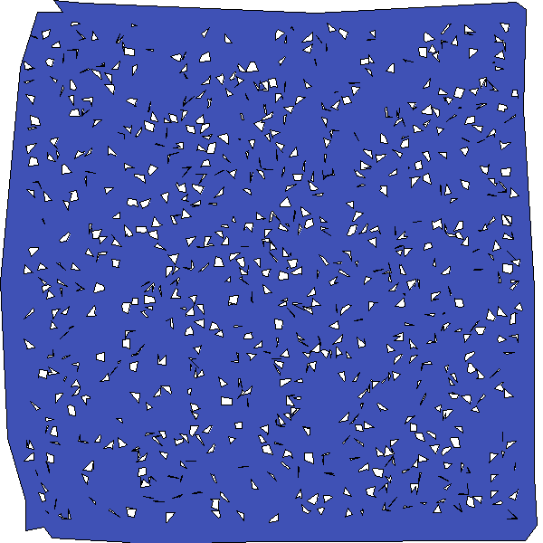 Polygon image