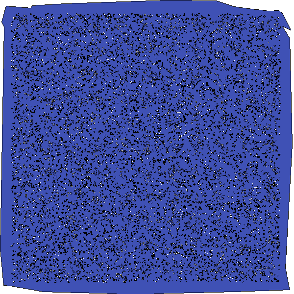 Polygon image