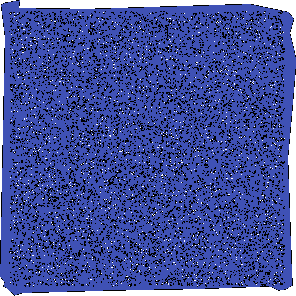 Polygon image