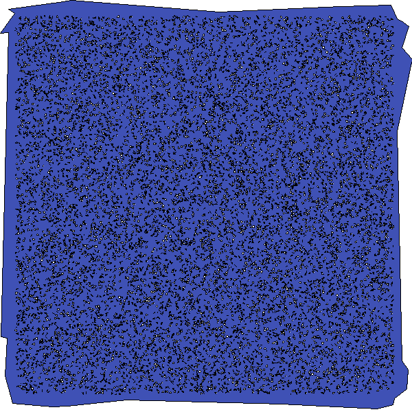 Polygon image