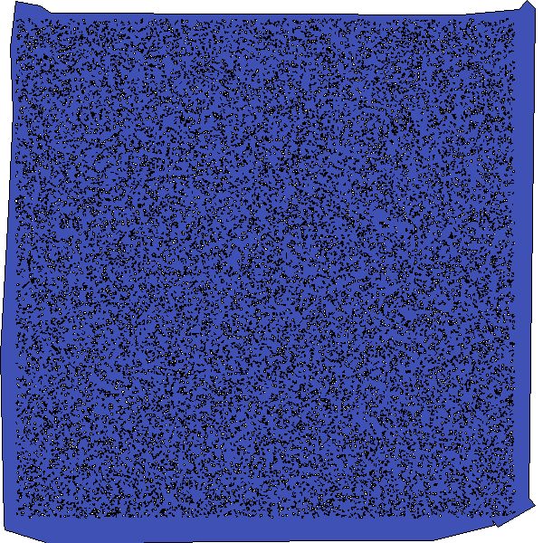 Polygon image