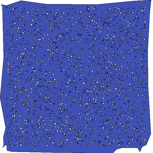 Polygon image