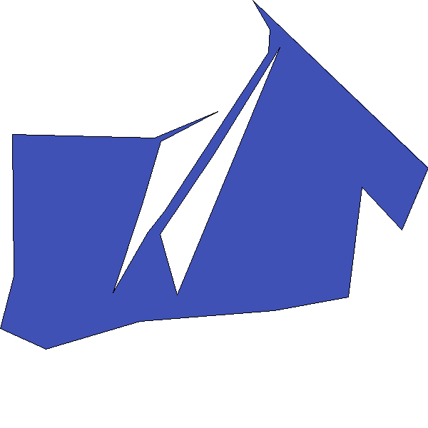 Polygon image