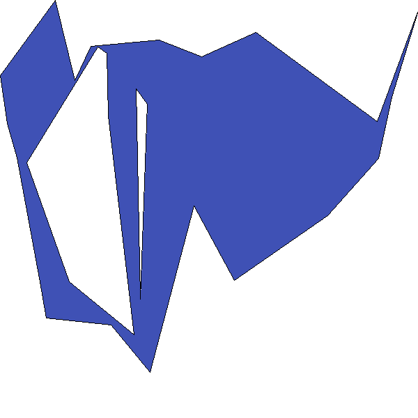 Polygon image
