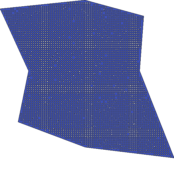 Polygon image