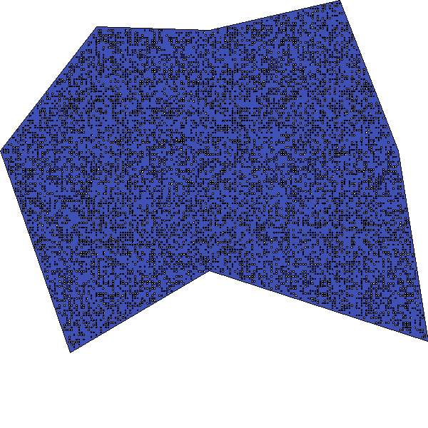 Polygon image