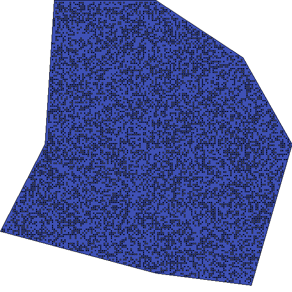 Polygon image