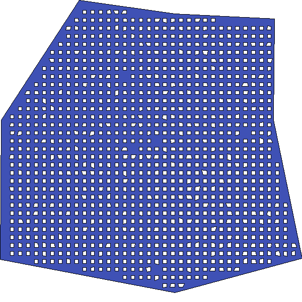 Polygon image