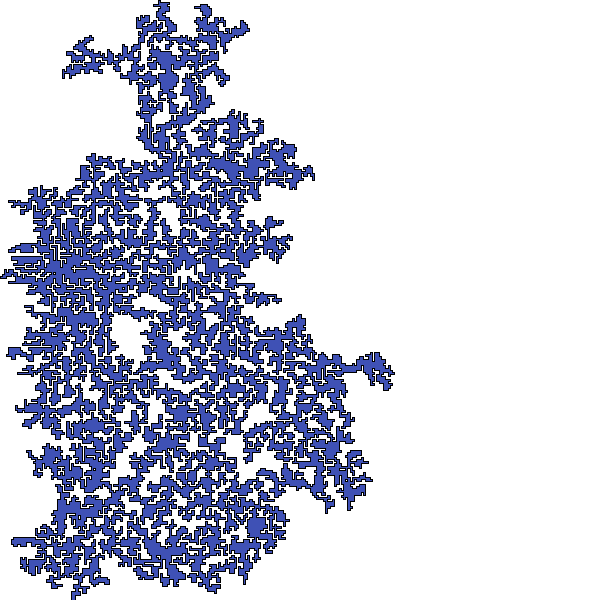 Polygon image