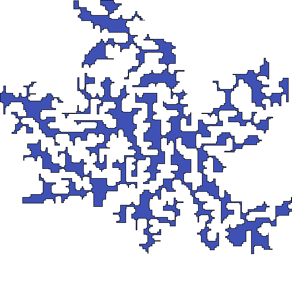 Polygon image