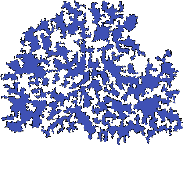 Polygon image