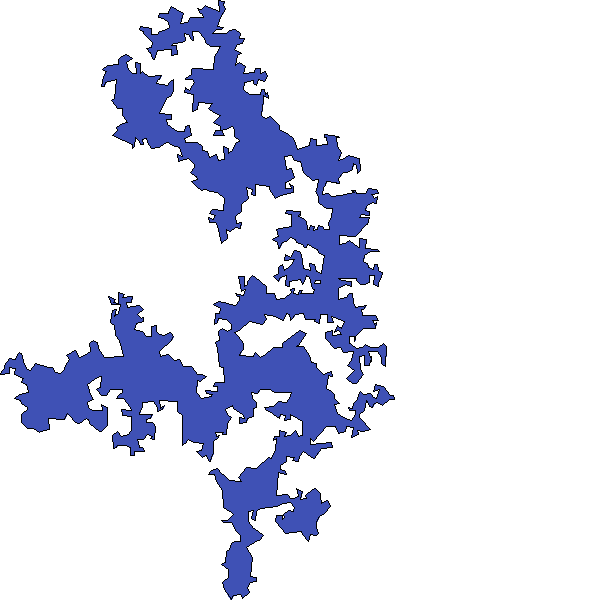 Polygon image