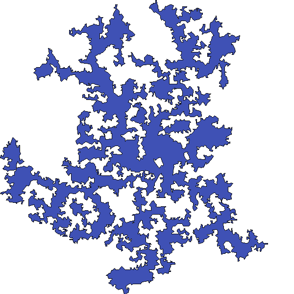 Polygon image