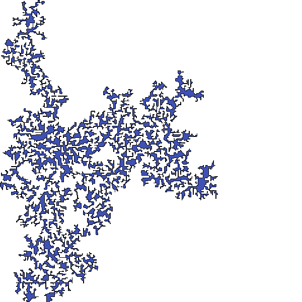 Polygon image