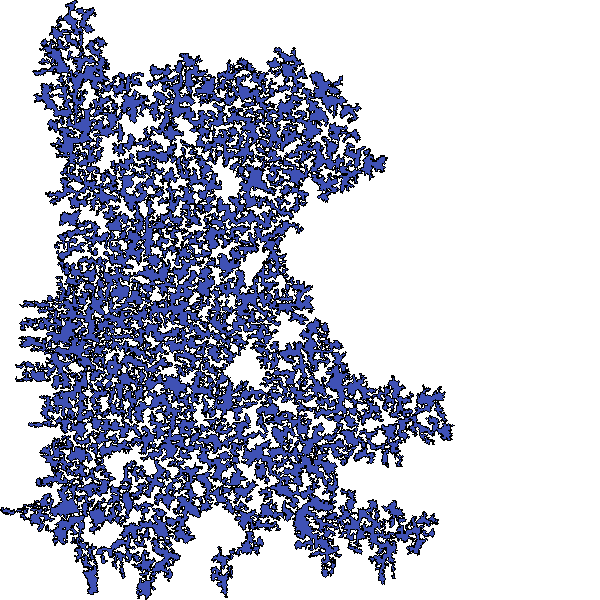 Polygon image