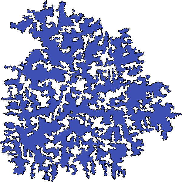 Polygon image