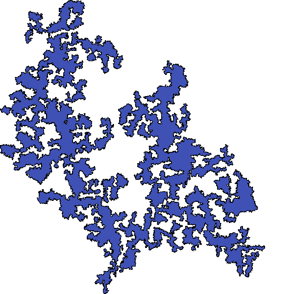 Polygon image