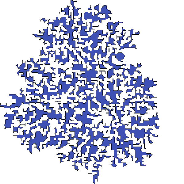 Polygon image