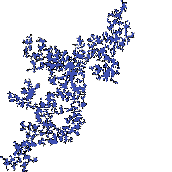 Polygon image
