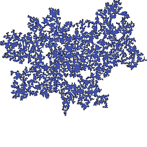 Polygon image