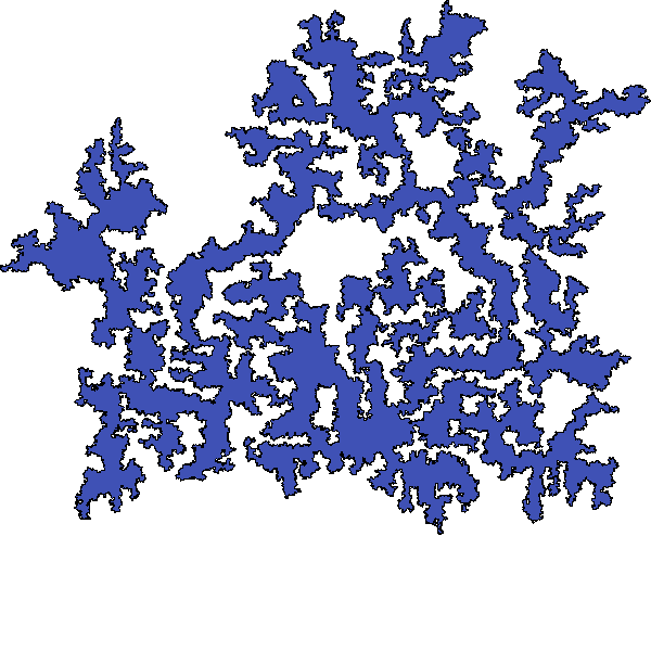 Polygon image