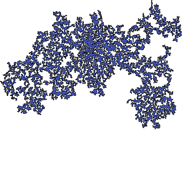 Polygon image