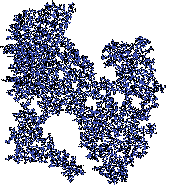 Polygon image