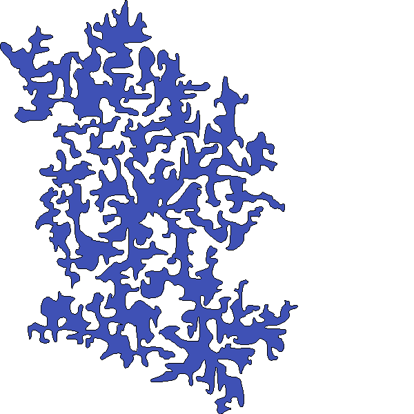 Polygon image