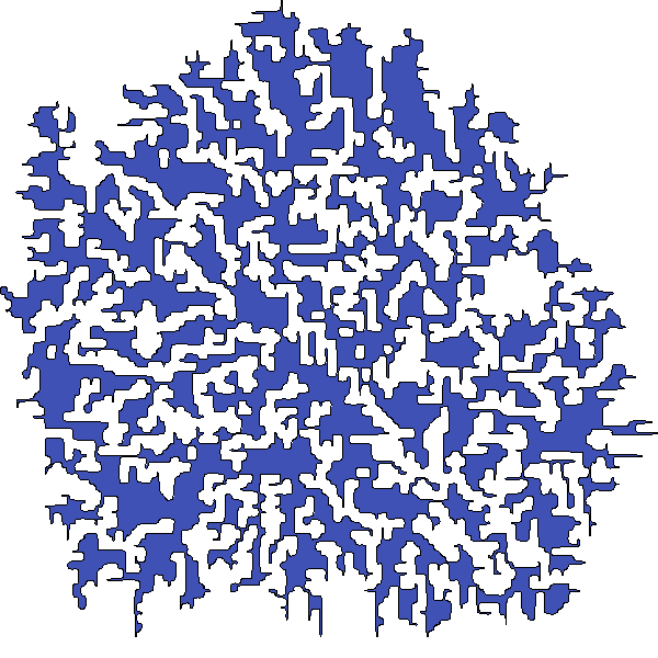 Polygon image
