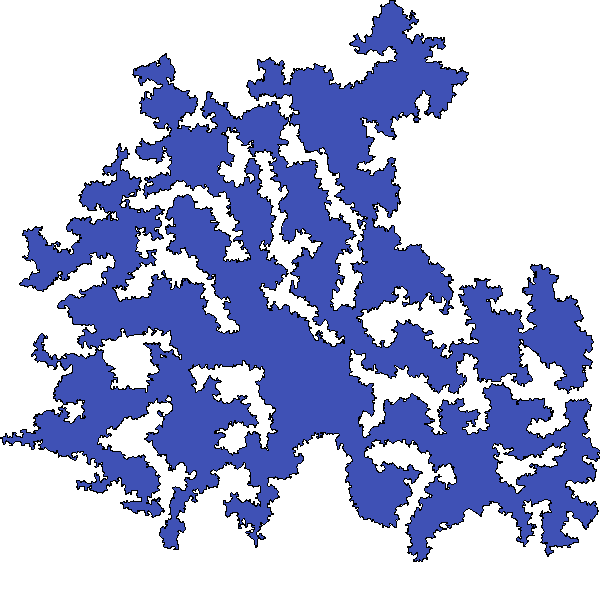 Polygon image