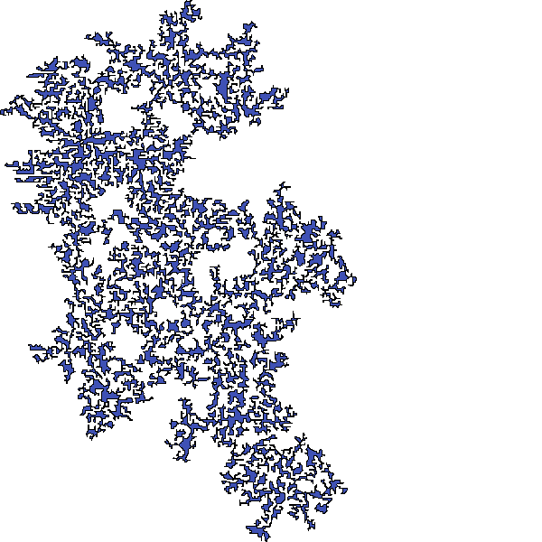 Polygon image